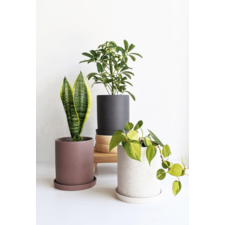 Modern Unglazed Ceramic 5 inch Planter!