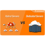Budget Dedicated Server Hosting
