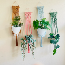 MACRAME WALL PLANT HANGER