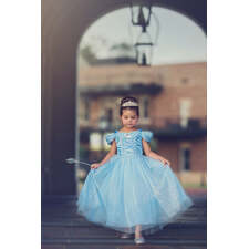 Queen of the Kingdom Princess Dress Costume