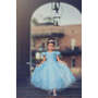 Queen of the Kingdom Princess Dress Costume