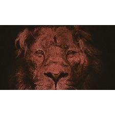 colorful pride #30 - Hidden_Gems | OpenSea