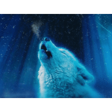 colorful pride #25 - Hidden_Gems | OpenSea