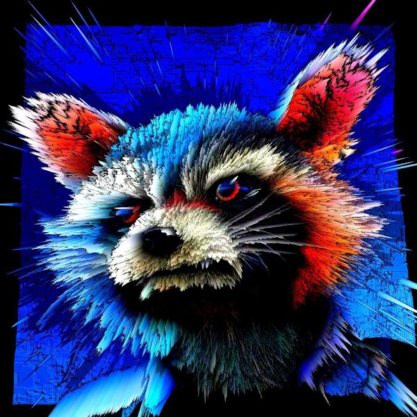 Art raccoon - Hidden_Gems | OpenSea