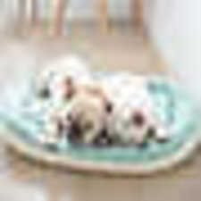 Thumbnail: Washable Anti-Slip Round Pet Sofa Dog Bed PBAD22010