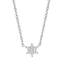 14k White Gold Diamond Star of David Necklace