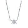 14k White Gold Diamond Star of David Necklace