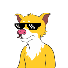 Soccer Doge #584 - Soccer Doge Club | Rarible