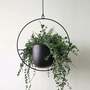Modern Hanging Planter