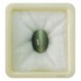 Astrological Cats Eye Premium 9+ 5.6ct