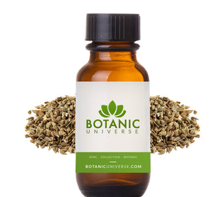 Aniseed Essential Oil