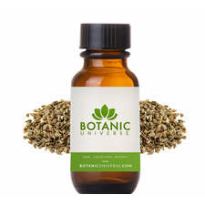 Aniseed Essential Oil