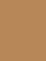 187: Savanna Beige Auto Tou...