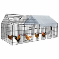 Glessite 24.1 Square Feet with Chicken Run