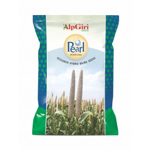 Bajara - Pearl (Hybrid)