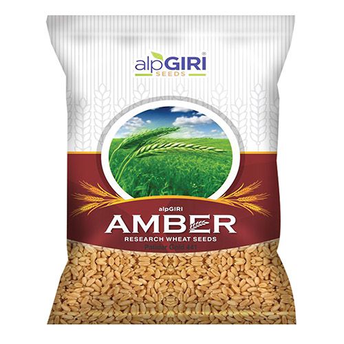 Wheat-Amber