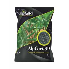 Blackgram-AlpGiri-99