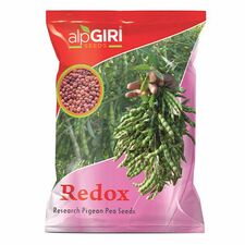 Pigeon-Pea-Redox