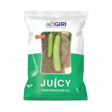 Bottle Gourd-Juicy (Hybrid)