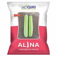 Bottle Gourd-Alina (Hybrid)