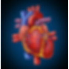 Paid Clinical Trials In Texas