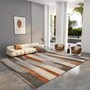 Rugs for Living Room