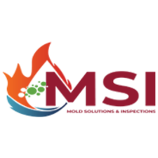 Mold Solutions &amp; Inspections