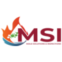 Mold Solutions &amp; Inspec...