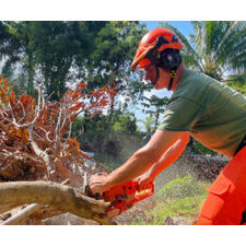 Tree service Maui