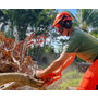 Tree service Maui