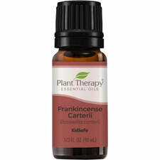 Plant Therapy Frankincense Carterii Essential Oil - OilyPod