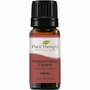 Plant Therapy Frankincense Carterii Essential Oil - OilyPod