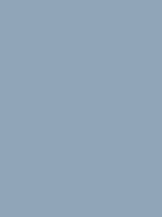 203: Salmon Silver Auto Tou...