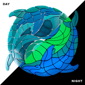 Yin Yang Dolphins Glow in t...