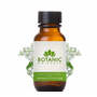 Ajowan Essential Oil