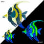 Moorish Idol Glow in the Dark Swimming Pool Mosaic - Family