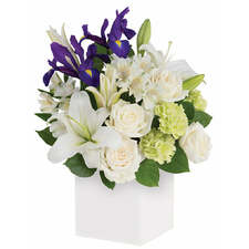 GRACEFUL BEAUTY Flowers arrangement