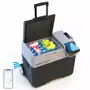 ACOPOWER|LionCooler 42 Quar...