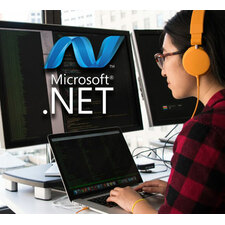 ..Net Development Services at Affordable Price