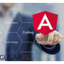 professional angular web development IT agency.