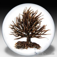 David Graeber 2015 leafless, lifeless tree on sodden snow paperweight. by David Graeber