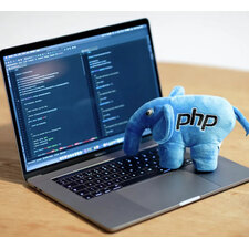 affordable PHP website development service 