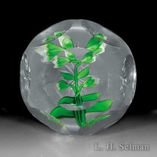 Antique Baccarat faceted white clematis buds paperweight. by Baccarat Antique