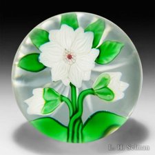 Antique Baccarat white double clematis and two buds glass paperweight. by Baccarat Antique