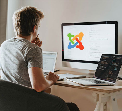 Professional Joomla website...