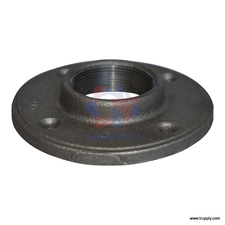 Floor Flange | Malleable Iron Fitting
