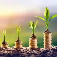 Wealth &amp; Property Report