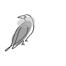 James &amp; Colors Custom Peel &amp; Stick Wallpaper, Contact Paper, Countertop Film.