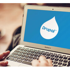Professional Drupal website development services at cheap price