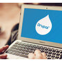 Professional Drupal website...